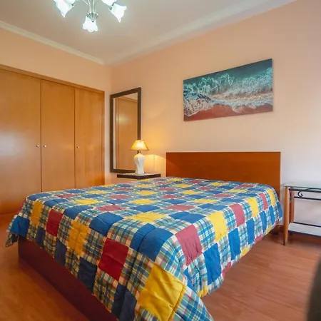 公寓 Large Modern *